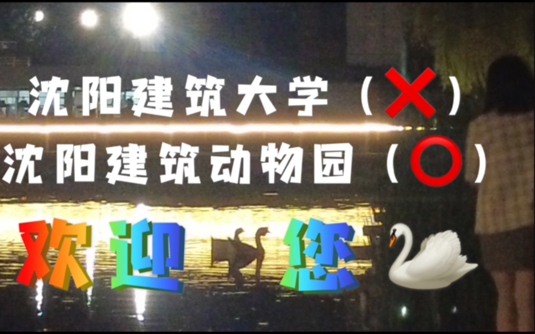 vlog之学校湖里长满鹅是什么体验——沈阳建筑大学?NO!沈阳建筑动物园!哔哩哔哩bilibili