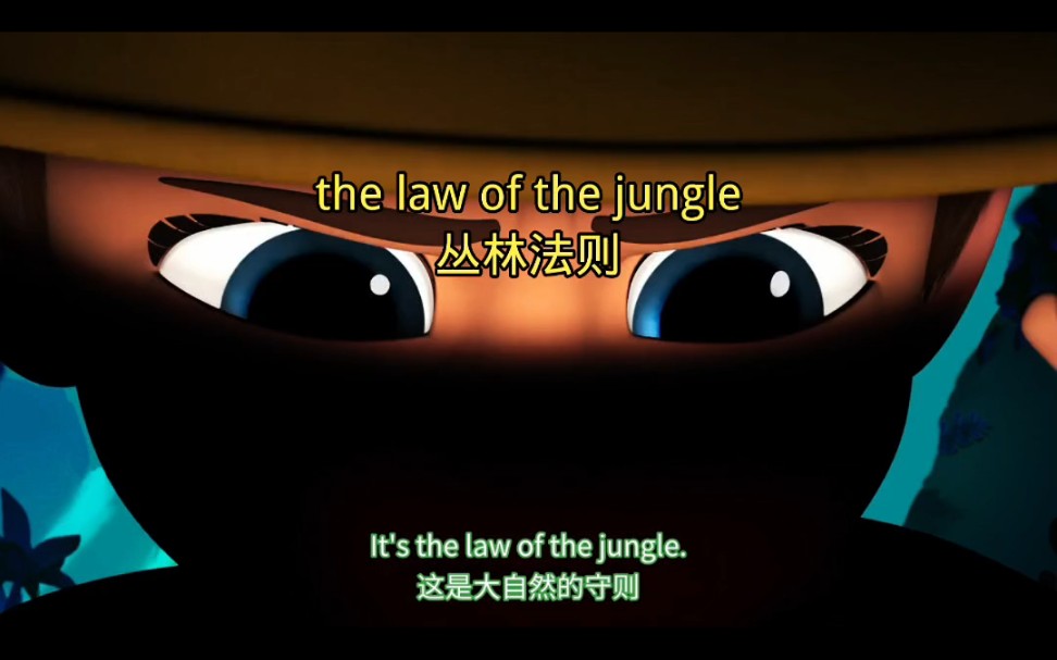 丛林法则 森林法则 弱肉强食 适者生存. The law of the jungle哔哩哔哩bilibili