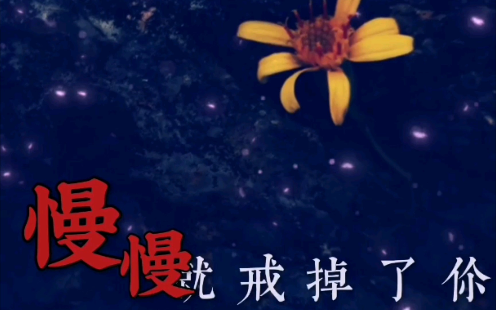 慢慢就戒掉了你