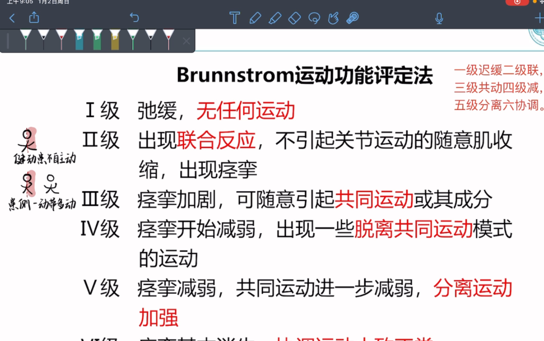 [图]康复医学重点｜Brunnstorm运动功能评定法