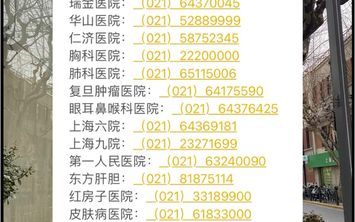 上海大型三甲医院的咨询电话,大家收藏点赞投币备用!有需要可咨询~哔哩哔哩bilibili