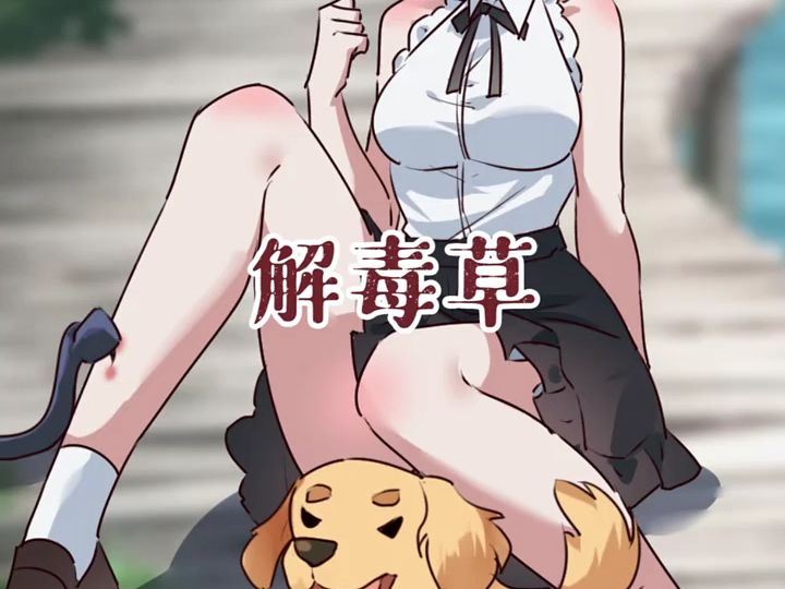 解毒草!哔哩哔哩bilibili