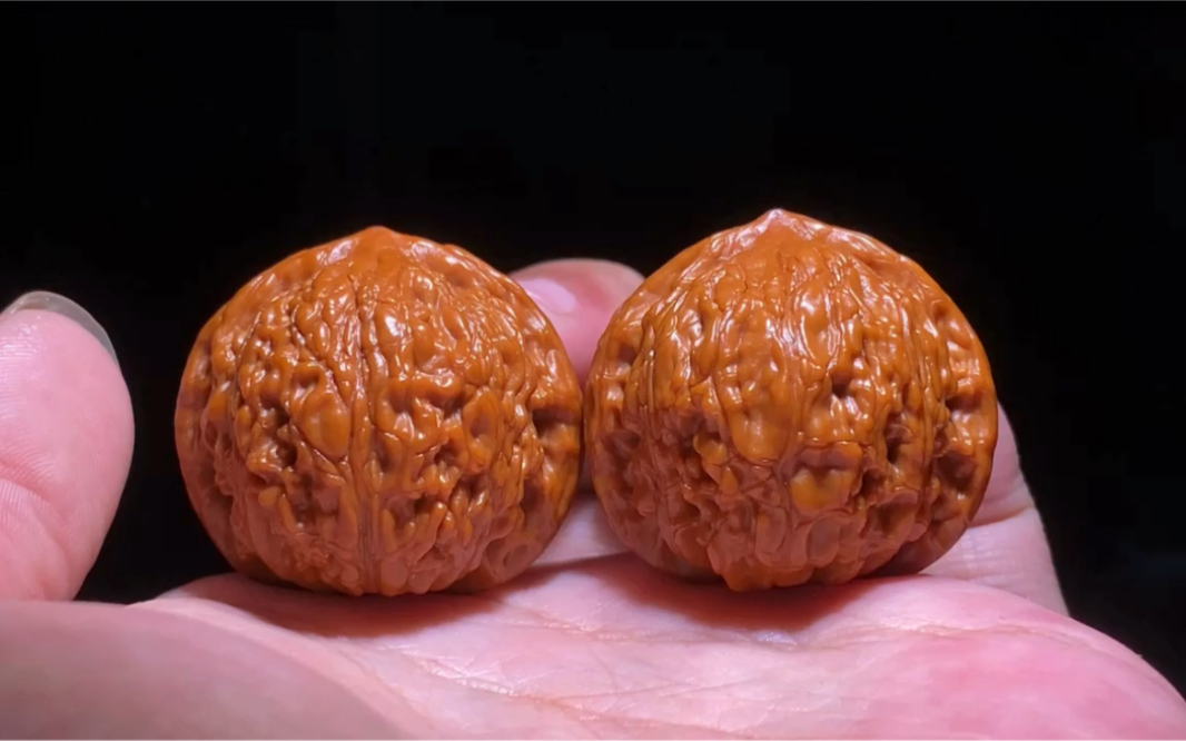 一对野生小核桃,已经包浆挂瓷了.还挺圆