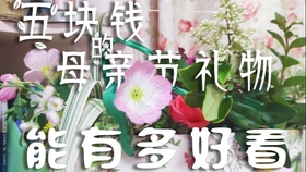 1080p Back Number 花束songs现场版17 01 05 在48 46的投稿中你甚至能看到冬季天团 哔哩哔哩 つロ干杯 Bilibili