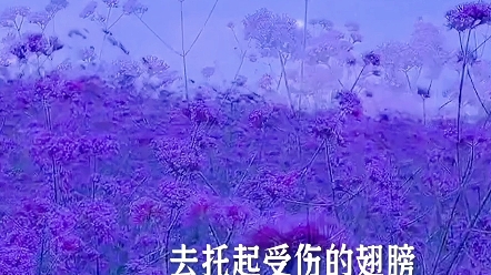 [图]就算这黑夜再漫长，也紧握那份信仰……#音乐#流行音乐#变成一阵风