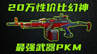 三角洲行动 当前版本性价比幻神，20万改法最强武器PKM！绝密玩了也能得吃！【S-A】