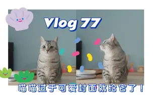 Download Video: 【VLOG】家庭记录影像EP77 /读书分享/我家喵喵最可爱/空气炸锅鱼