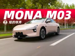 Download Video: MONAM03这么便宜的小鹏能买吗？