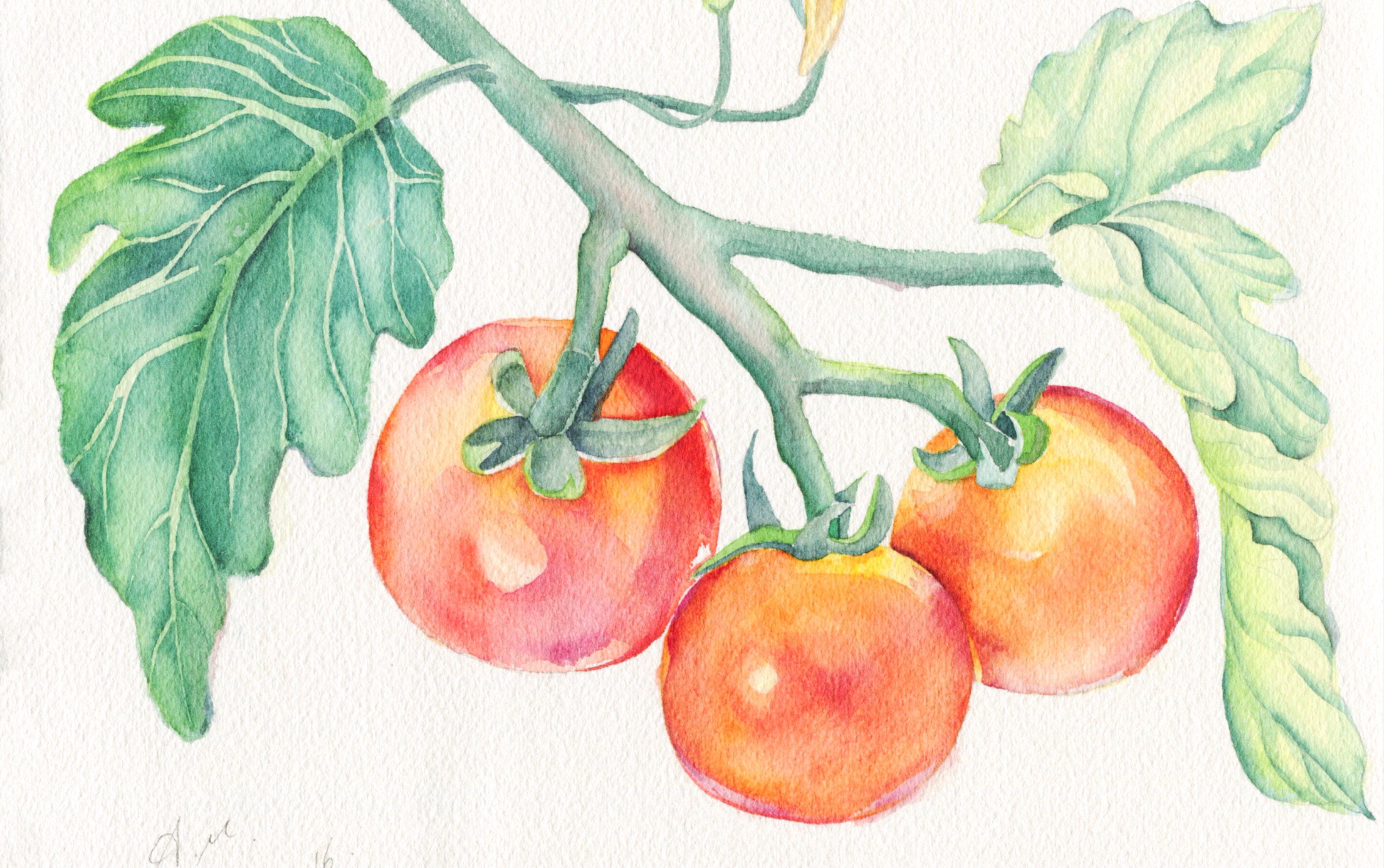 水彩美食你看起来很美味_哔哩哔哩 (゜-゜)つロ 干杯~-bilibili