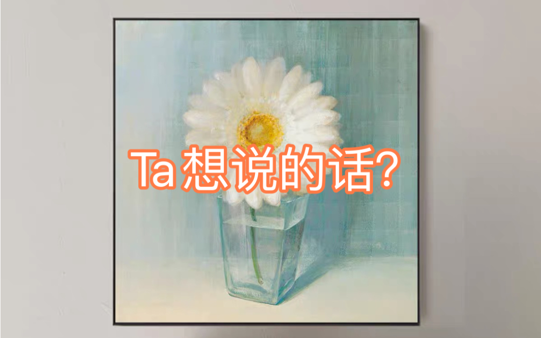 纯字卡:对应字卡信息,及Ta想说的话?哔哩哔哩bilibili