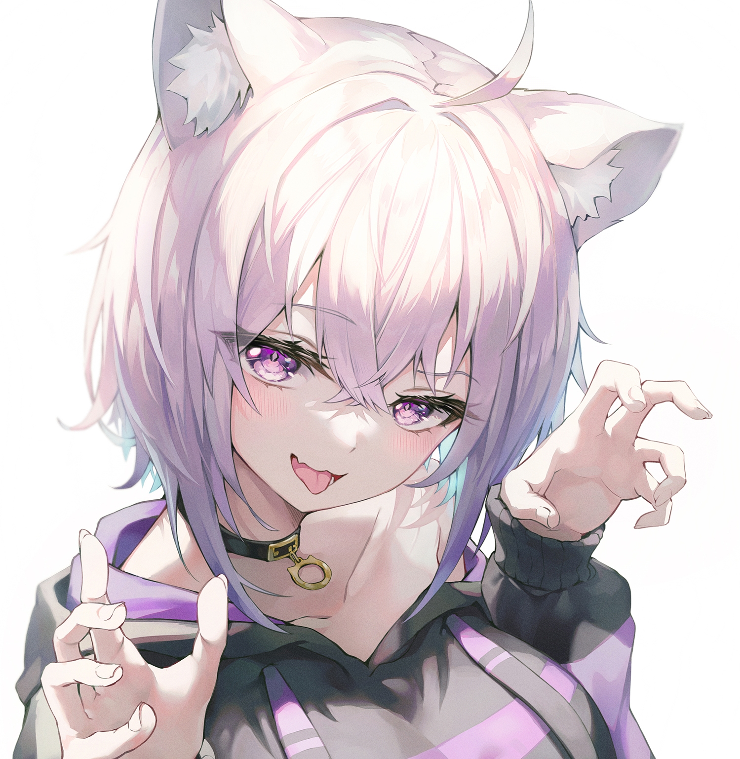 猫又小粥歌单合集