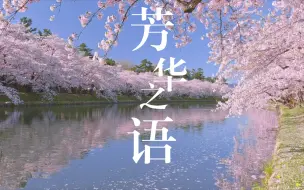 Download Video: 世界公认最佳放松轻音乐｜芳华之语｜树林自然音乐｜白噪音｜睡眠｜学习｜工作｜冥想｜失眠｜催眠