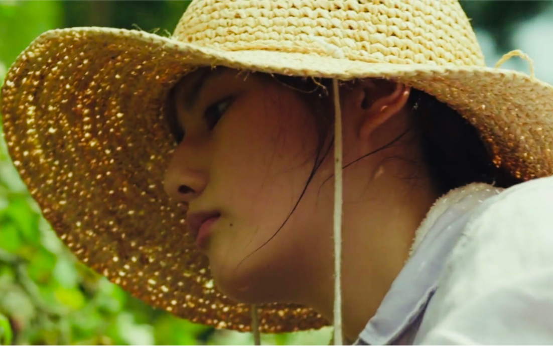 活动作品夏日治愈系剪辑小森林夏秋篇小森时光夏天的风正暖暖吹过