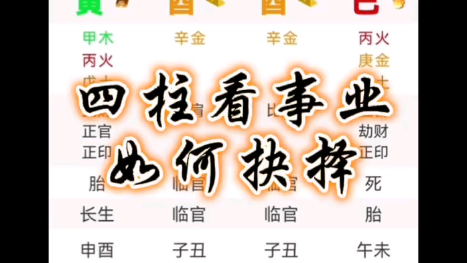 八字看事业选择哔哩哔哩bilibili