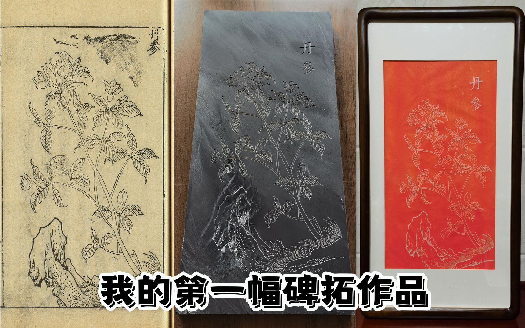 中医药题材系列碑拓的第一幅作品:本草丹参哔哩哔哩bilibili