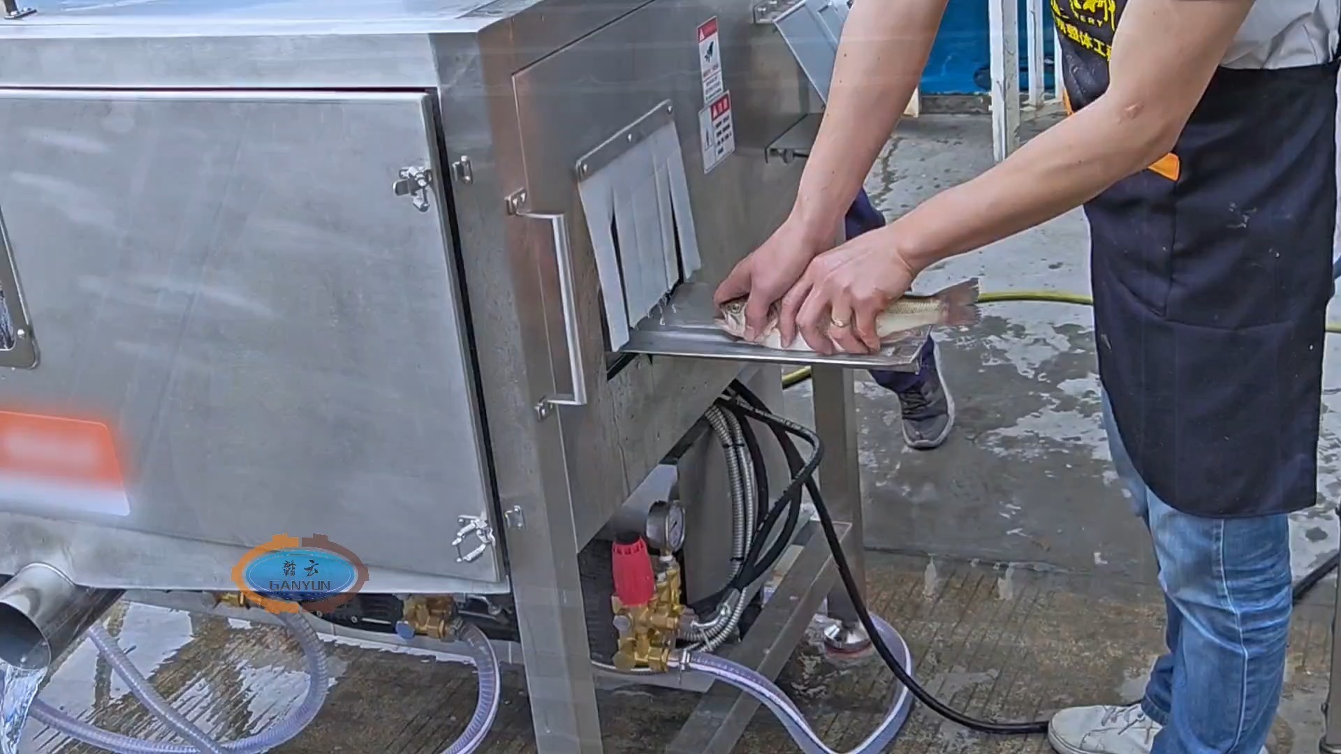 全自动杀鱼机器 多功能鱼类去鳞开背开肚机