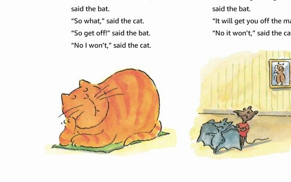 the fat cat sat on the mat地垫上的胖猫