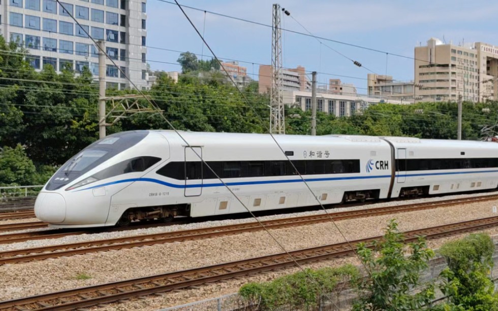 2023年10月11日,d2429次(广州东站-上虞南站)本务