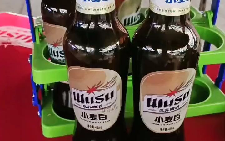 撸大串和大瓶乐堡啤酒哔哩哔哩bilibili