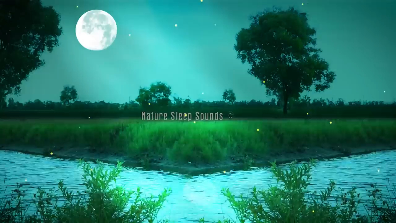 [图]【睡眠BGM】乡下的夜晚虫声、河流的潺潺流水、青蛙、夜晚的沼泽声～蟋蟀、夏夜的声音、治愈的自然音