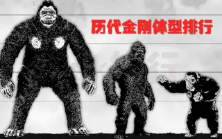 大猩猩金刚 搜索结果 哔哩哔哩 Bilibili