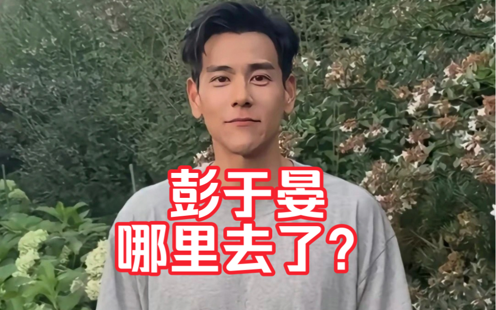 消失的彭于晏!彭于晏为什么糊地那么彻底?