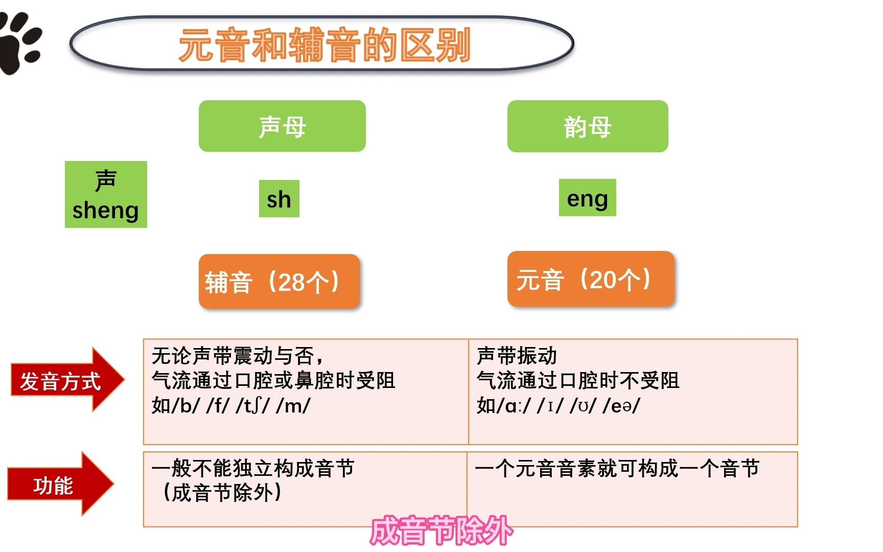 元音和辅音的区别哔哩哔哩bilibili