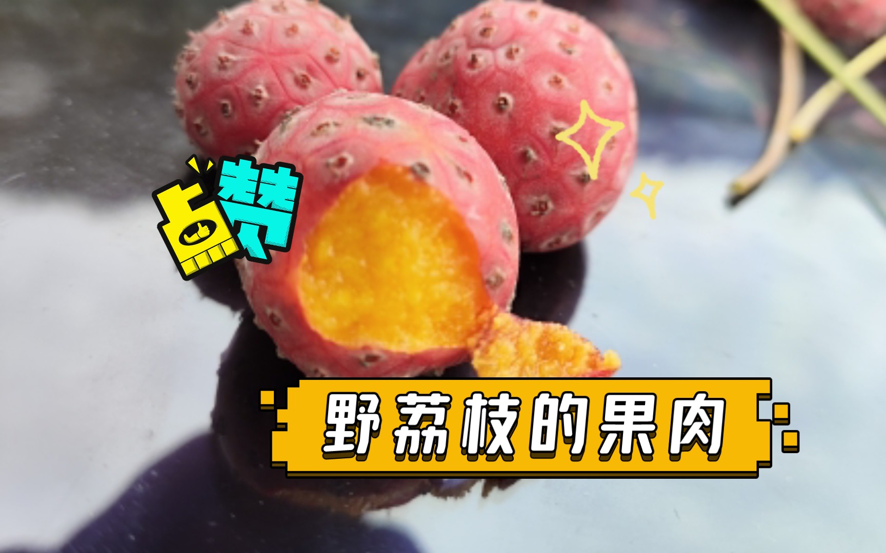 野荔枝的果肉:晶莹剔透的反义词!