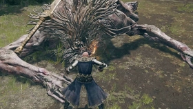 Ff14 这才是真正的拳师格斗家武僧该有的样子帅爆 哔哩哔哩 つロ干杯 Bilibili