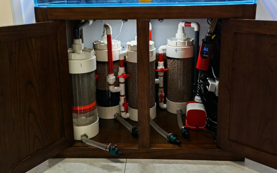 5月22日鱼缸维护