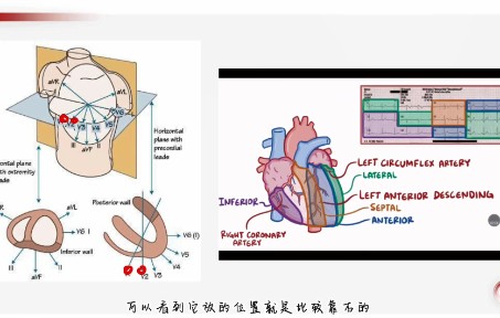 心电图基础知识2哔哩哔哩bilibili