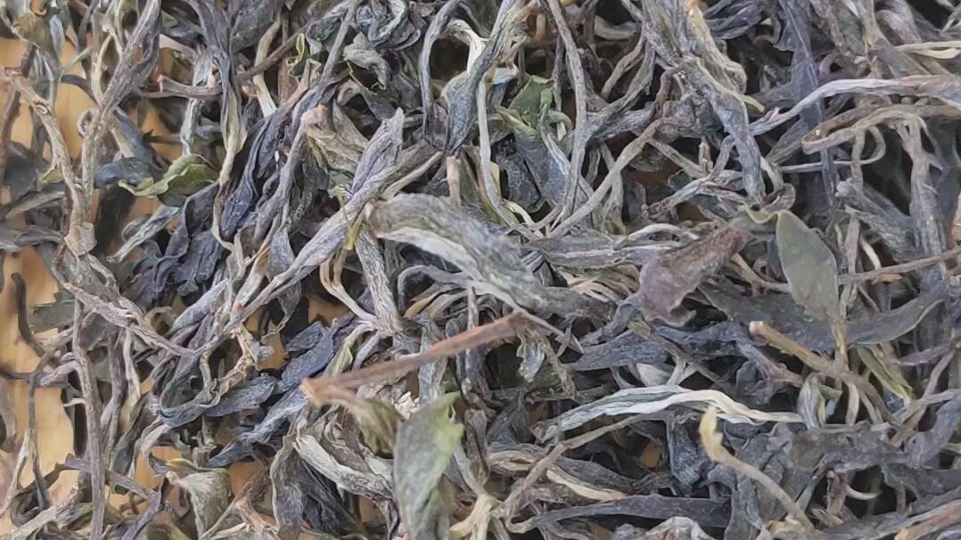 古六大茶山革登古树茶易武普洱茶易武庆丰号云南普洱茶普洱茶叶云南