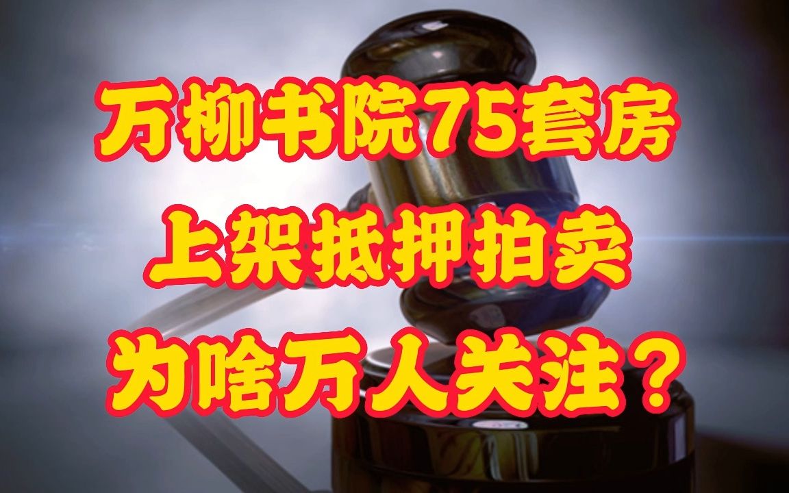 北京豪宅万柳书院 75套房 上架抵押拍卖 为啥引发万人关注?哔哩哔哩bilibili