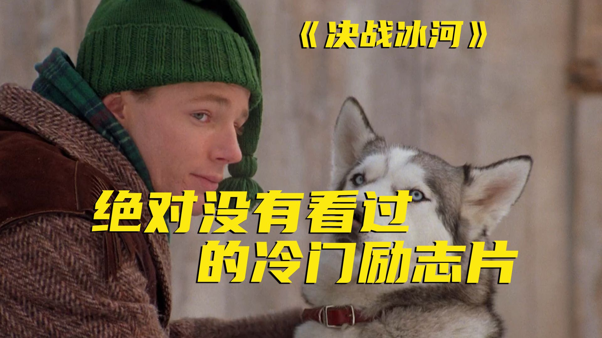 这才叫雪橇犬!超冷门电影,上映30年看过的国人都学会一个谚语哔哩哔哩bilibili