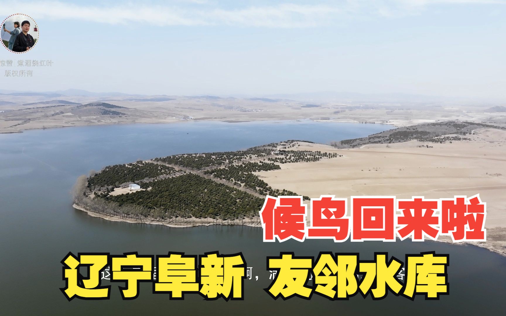 候鸟回来啦 辽宁阜新 友邻水库