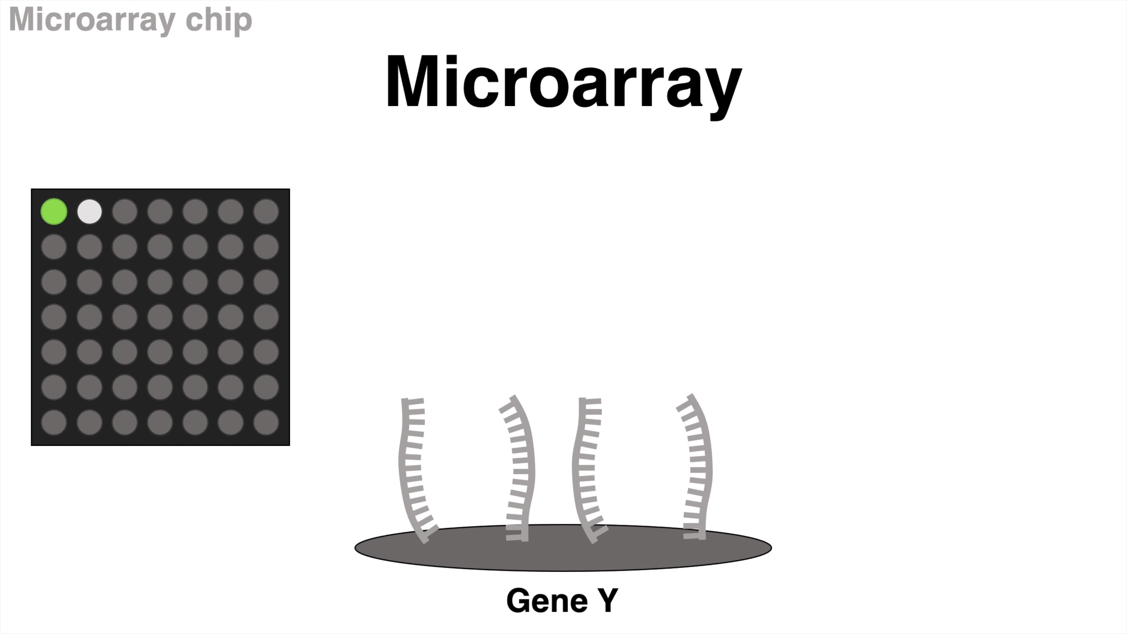 「Method」什麽是DNA芯片 DNA Microarray (DNA chip) technique哔哩哔哩bilibili