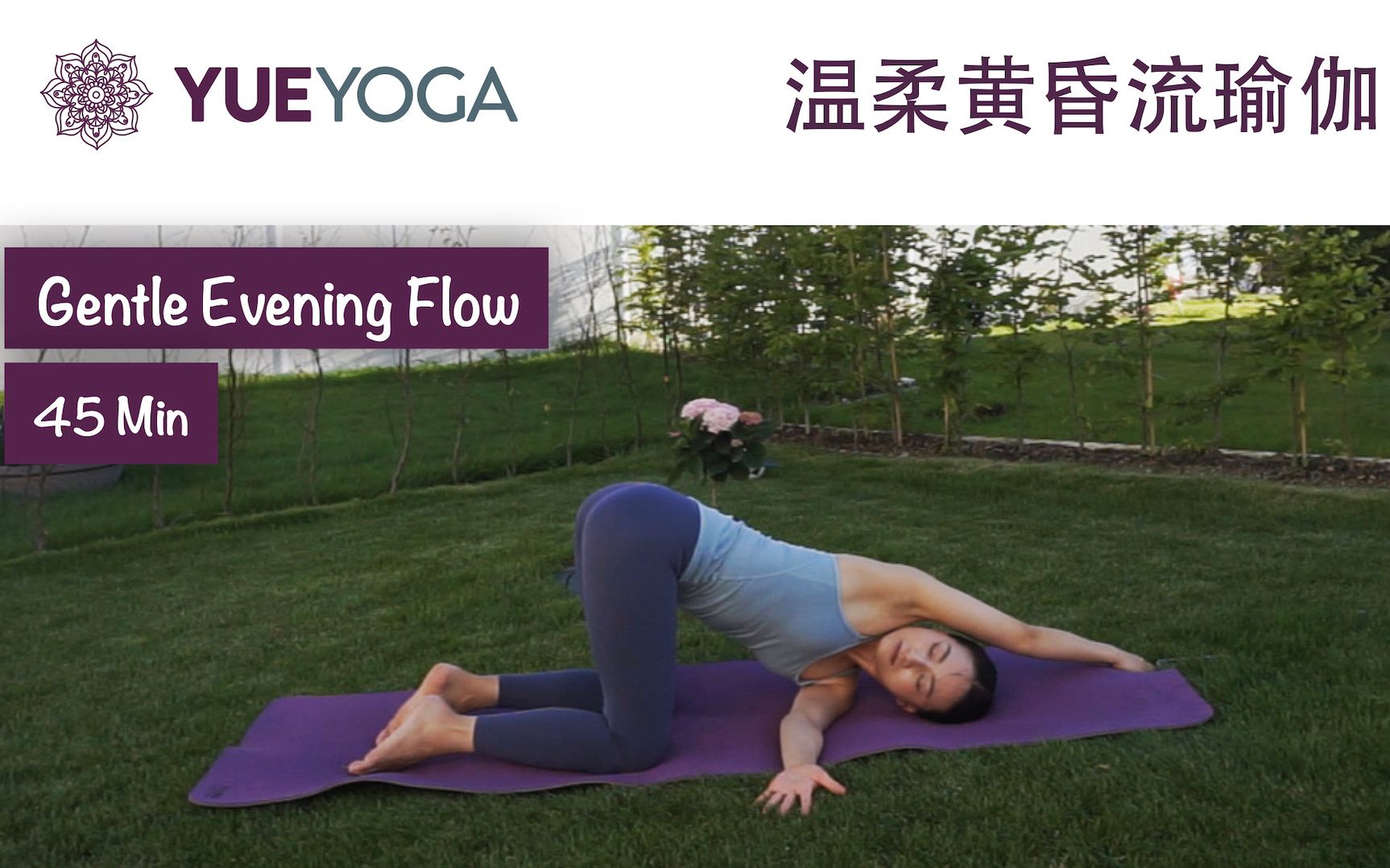 45分钟黄昏流瑜伽全面拉伸延展舒缓身心大脑各级别友好45mingentle