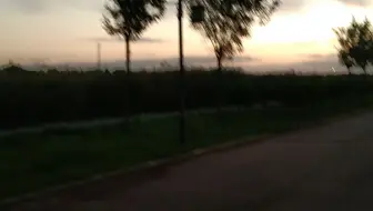 坚持晨跑，第四天