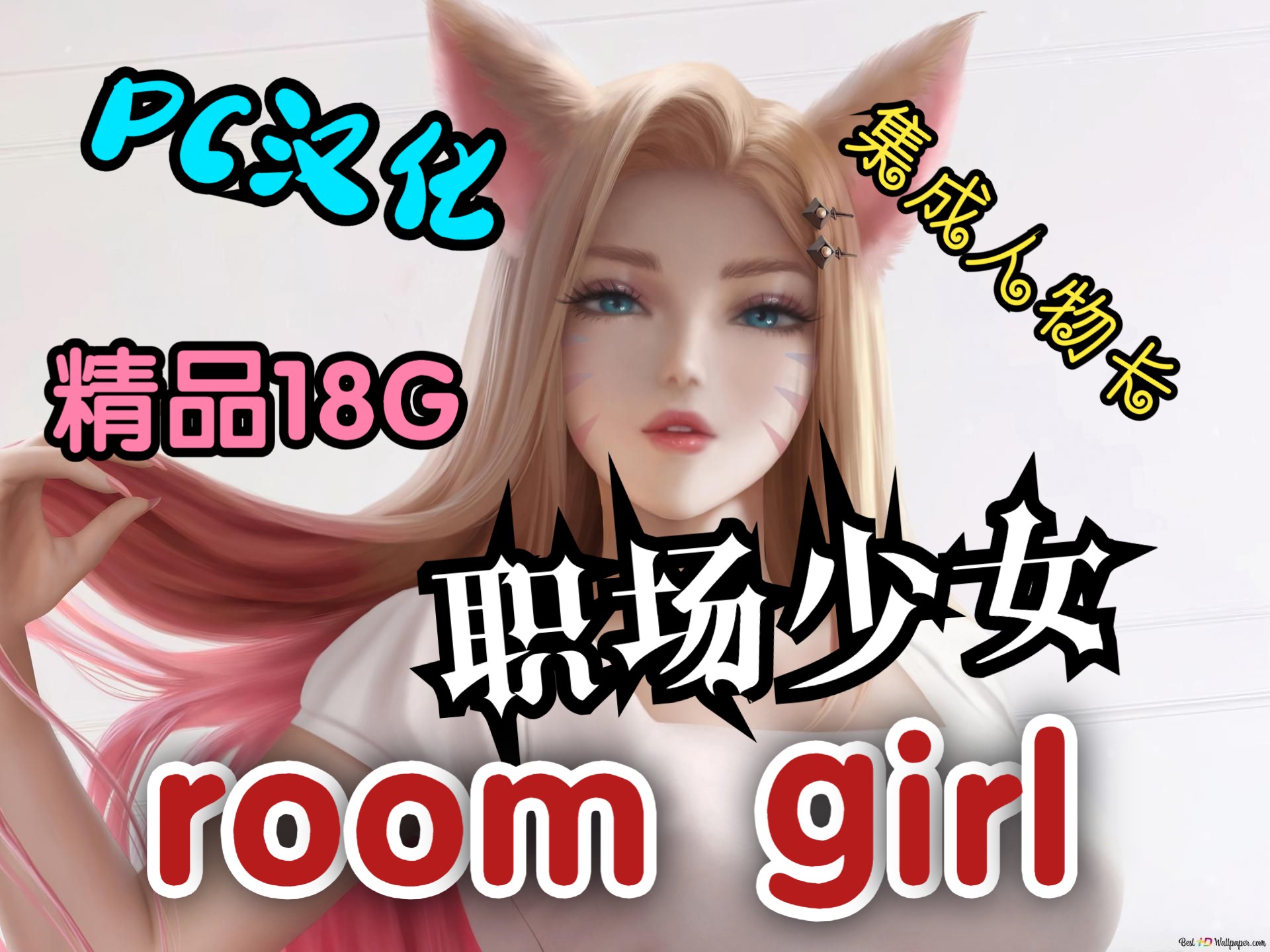 [图]游戏推荐 职场少女 room girl 【PC】汉化+人物卡素材