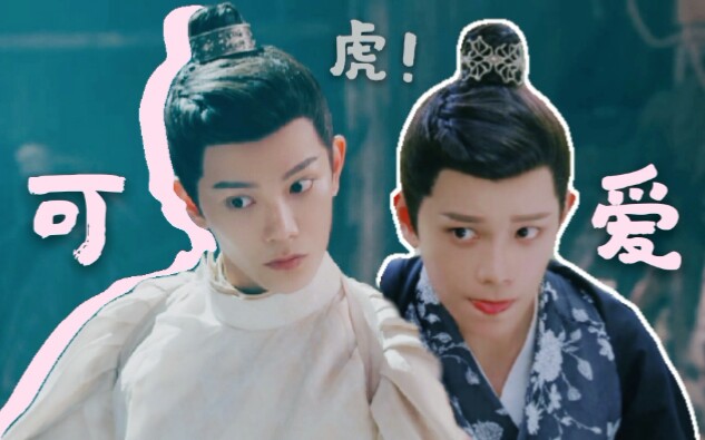 【丁禹兮×韩烁】竖屏×舔颜 可爱高甜烁烁子 挑眉杀 小表情(传闻中的