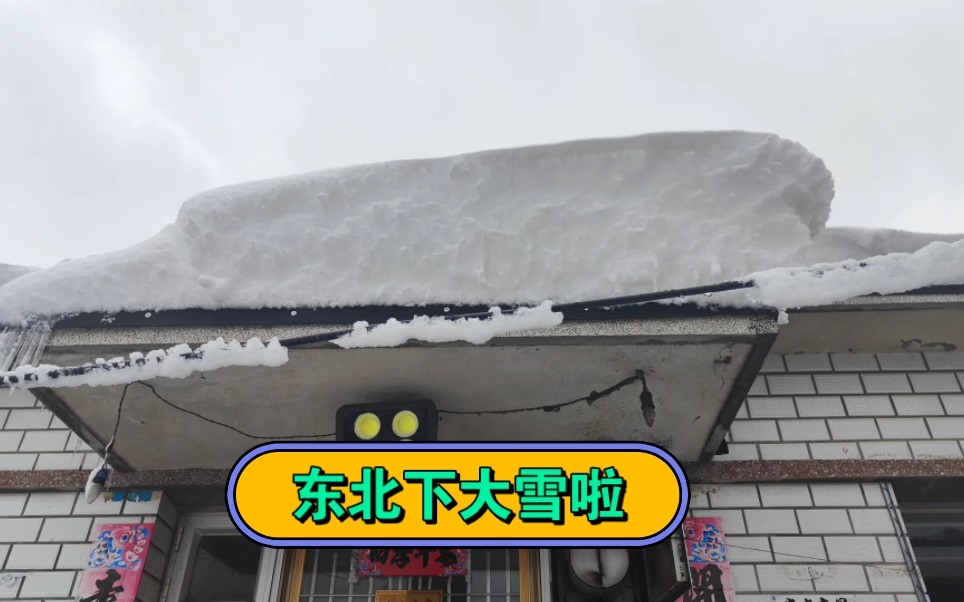 [图]东北下大雪啦，快来看雪吧！