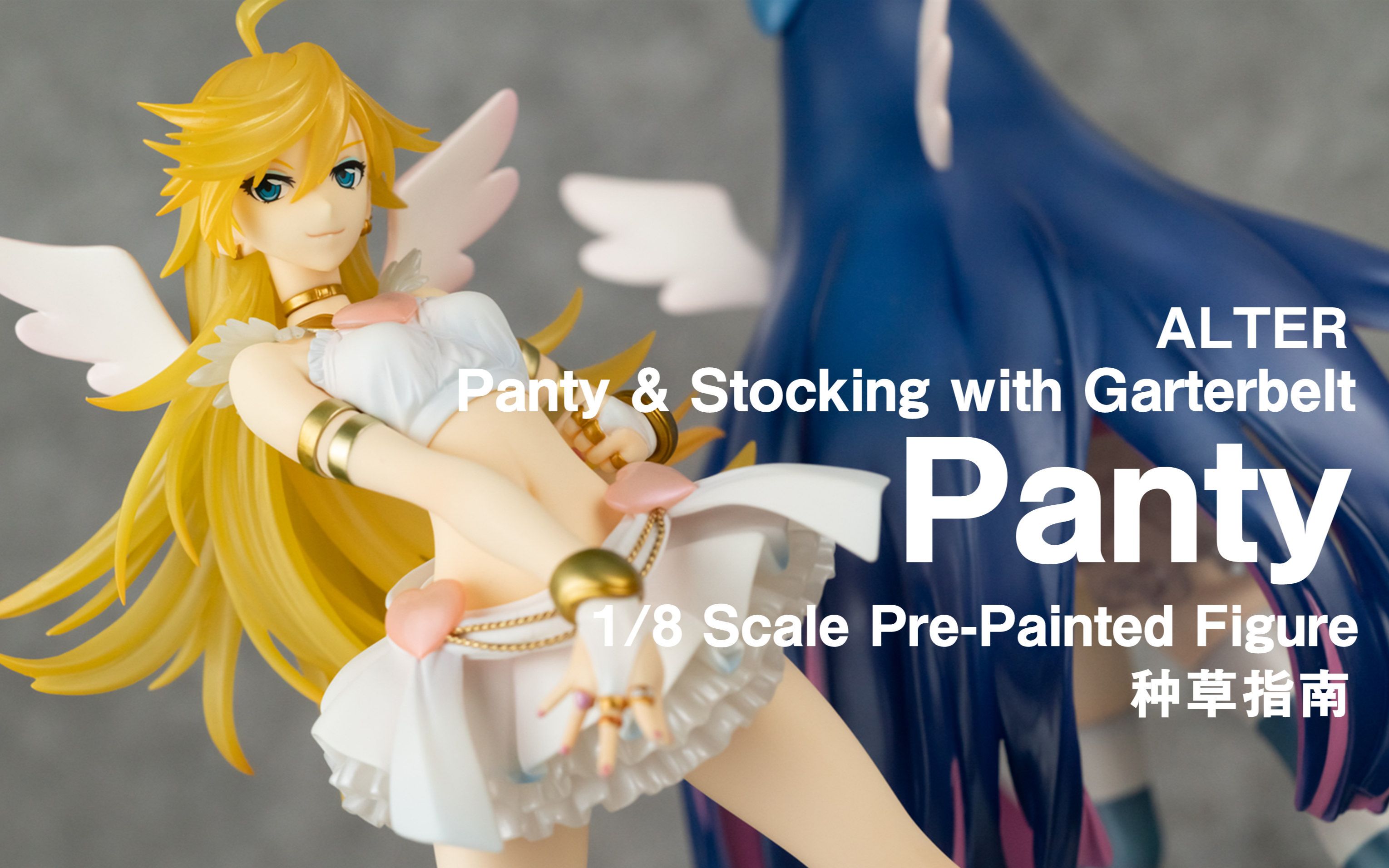 【种草指南】ALTER Panty & Stocking with Garterbelt Panty哔哩哔哩bilibili