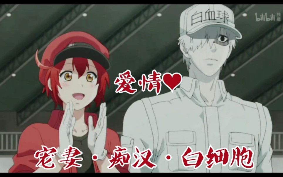 【工作细胞|白赤|高甜】白细胞悄咪咪的暗恋时光