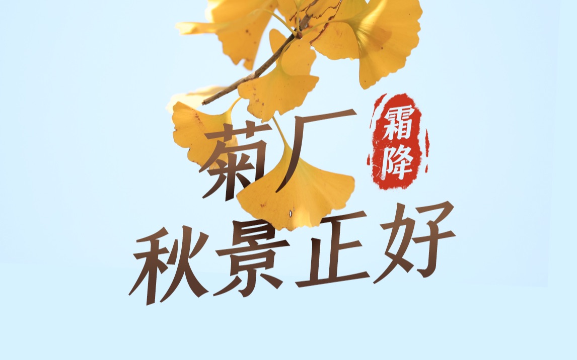 今日霜降,菊厂秋景正好!哔哩哔哩bilibili