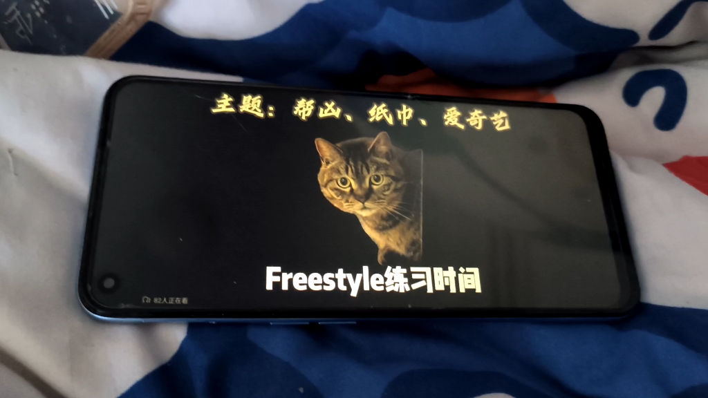 喵喵鱼のfreestyle挑战哔哩哔哩bilibili