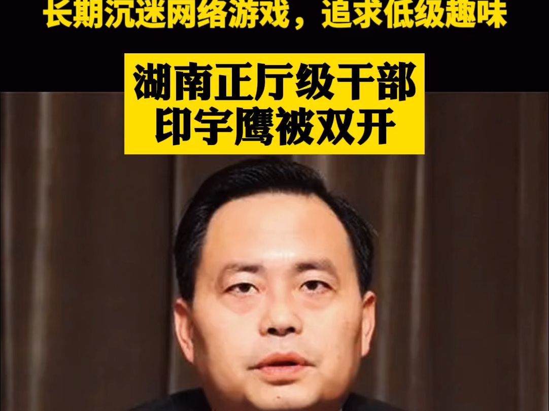 湖南一长期沉迷网游官员被双开 长期沉迷网络游戏等,湖南正厅级干部印宇鹰被双开哔哩哔哩bilibili