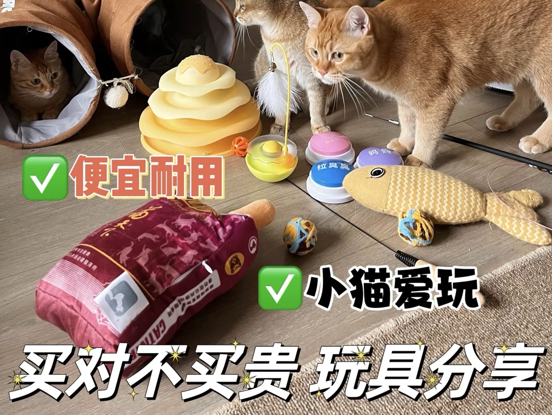 猫咪玩具正确挑选方法 | 便宜耐用小猫爱玩儿哔哩哔哩bilibili