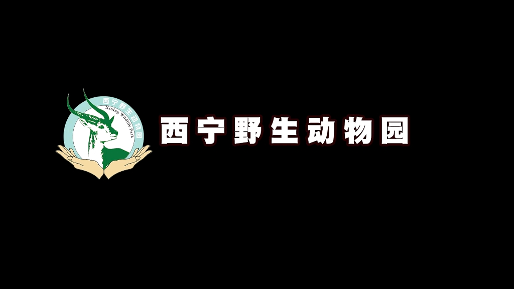 西宁野生动物园2021金秋菊展哔哩哔哩bilibili