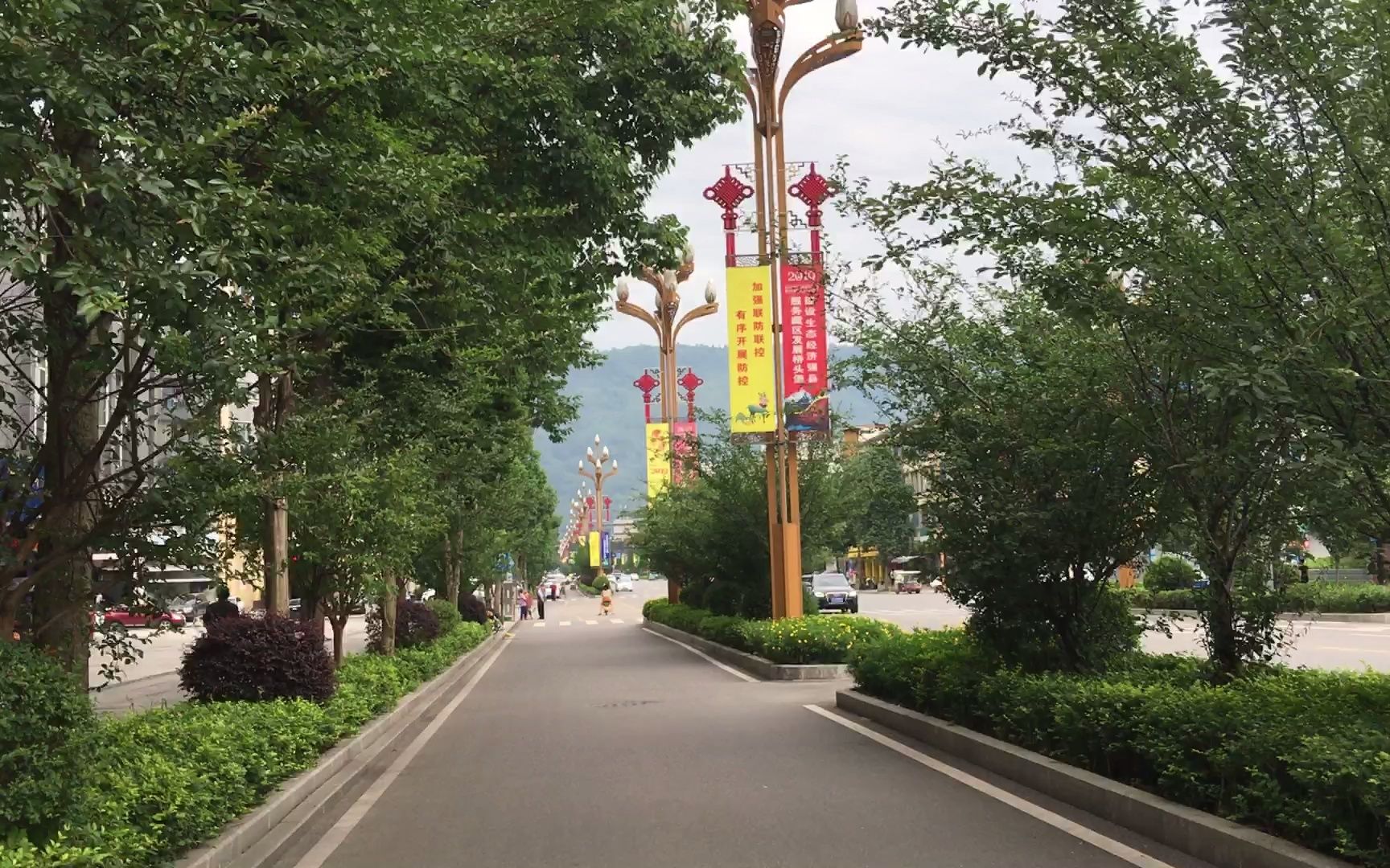 d02雅安新沟img9762