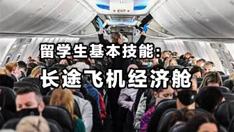 Download Video: 没有一个留子可以逃过经济舱🛫